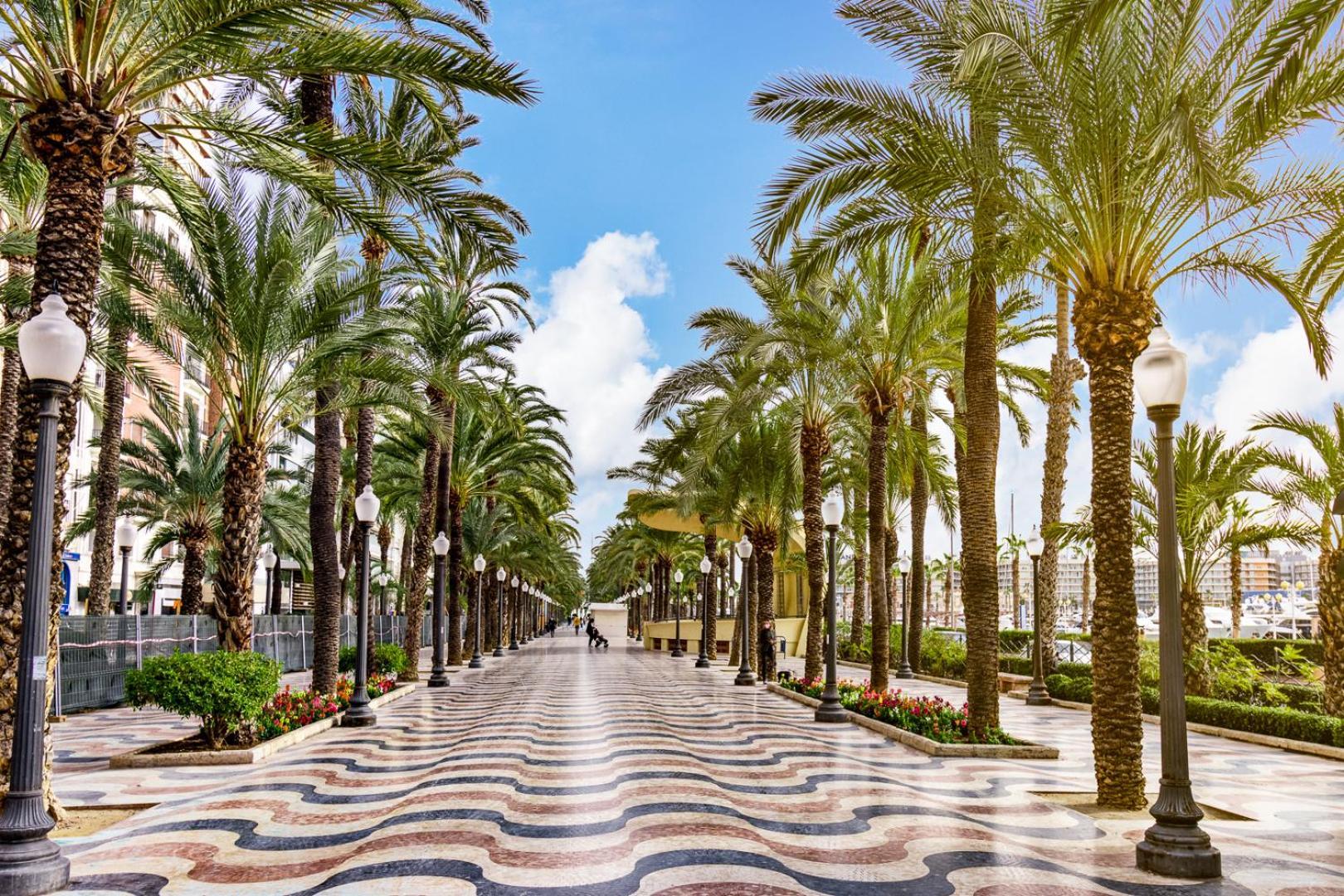 Hb Apartments - Mercado Central - Rambla Alicante - La Suite De La Playa Exteriér fotografie